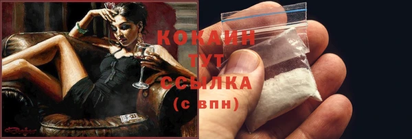 2c-b Инсар