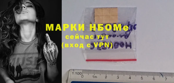 2c-b Инсар