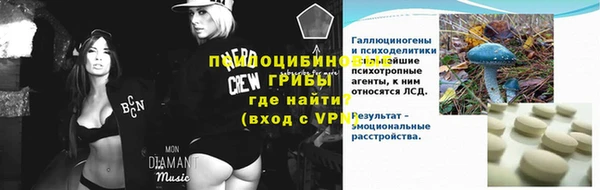 2c-b Инсар