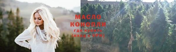 2c-b Инсар