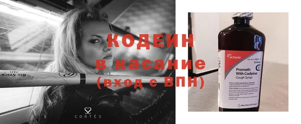 2c-b Инсар