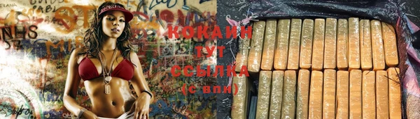 2c-b Инсар