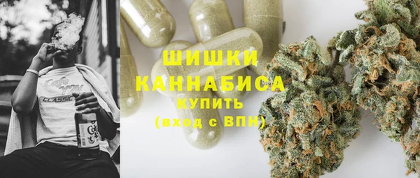 2c-b Инсар