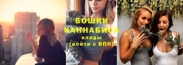 2c-b Инсар