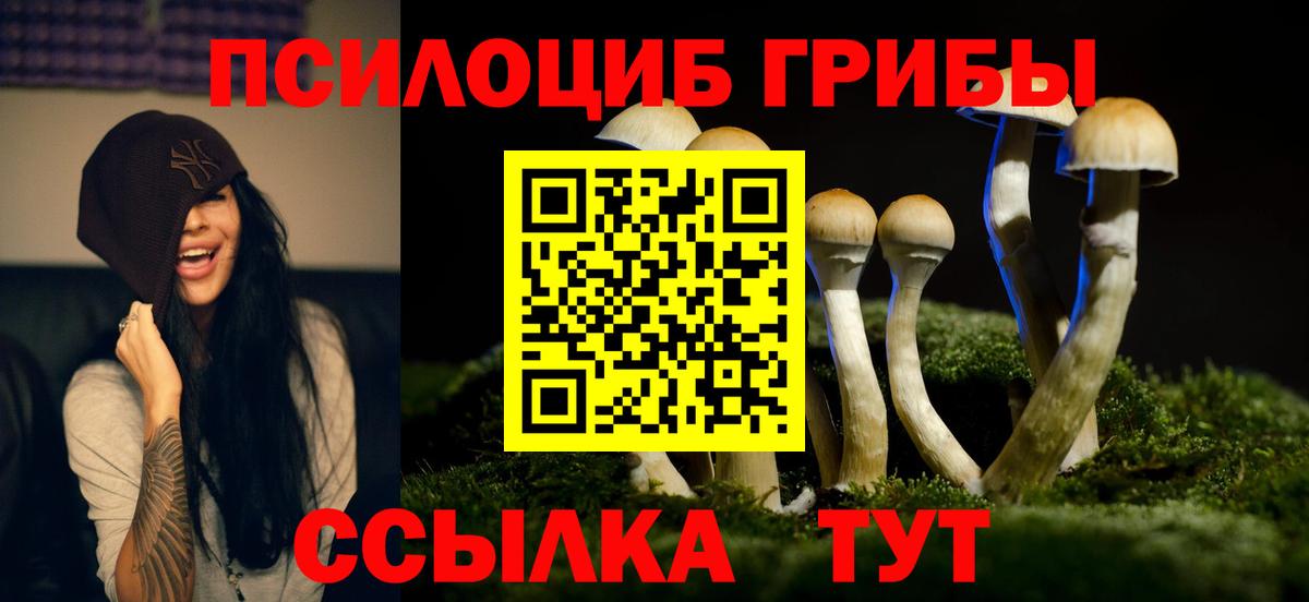 Красногорск  Галлюциногенные грибы Magic Shrooms  Вход с VPN 